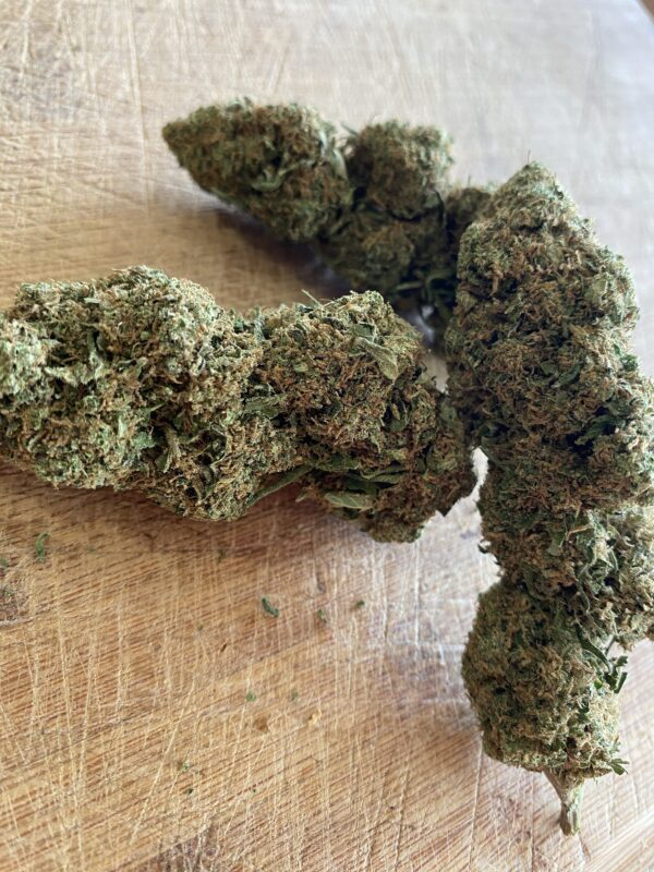 GORILLA GLUE INDOOR